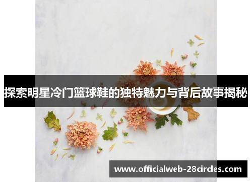 探索明星冷门篮球鞋的独特魅力与背后故事揭秘