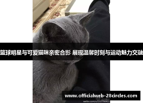 篮球明星与可爱猫咪亲密合影 展现温馨时刻与运动魅力交融