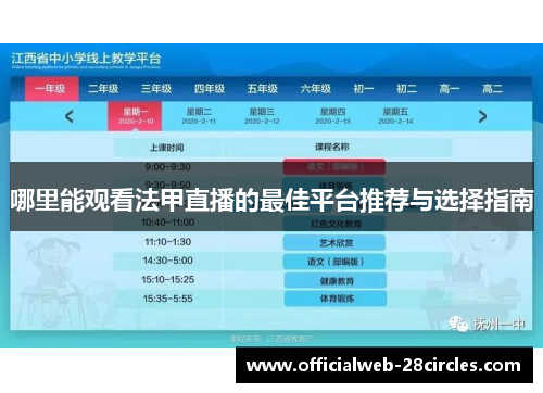 哪里能观看法甲直播的最佳平台推荐与选择指南
